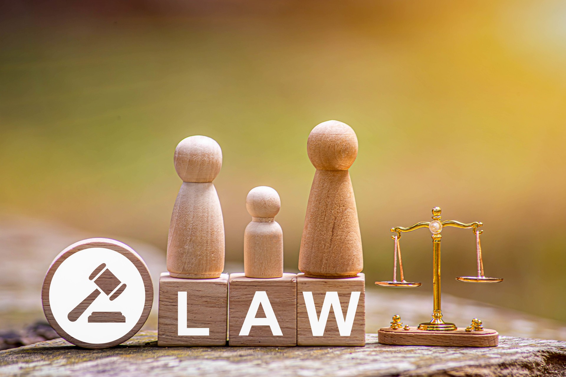 The family and child law concept is an essential part of the justice system, and courts play a crucial role in ensuring that the government's policies and laws regarding families, children are upheld.